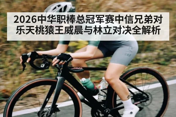 2026中华职棒总冠军赛中信兄弟对乐天桃猿王威晨与林立对决全解析